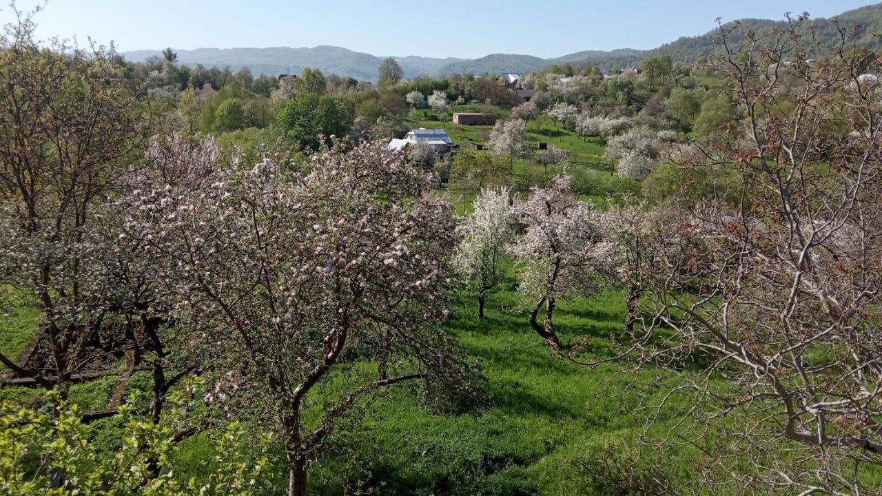 Bat'Kivska Hata Stari Kuty Экстерьер фото