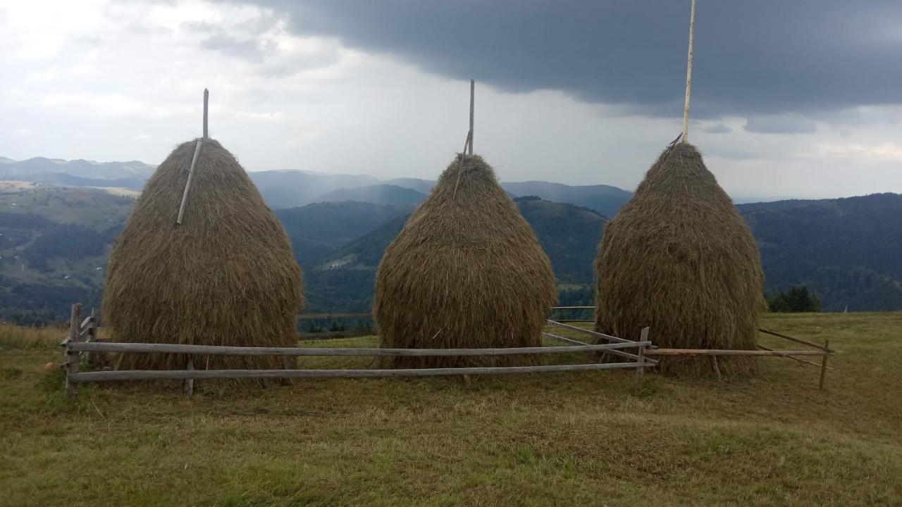 Bat'Kivska Hata Stari Kuty Экстерьер фото